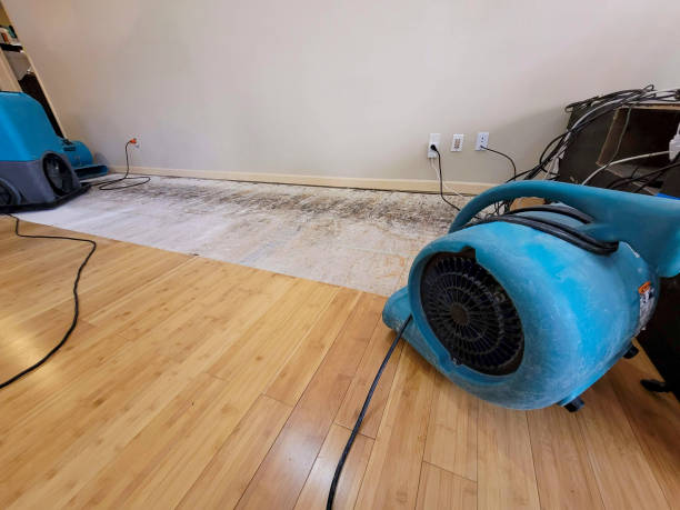 Professional Sewage Cleanup technician working in Collierville, CA